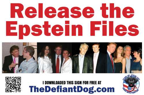 Release the Epstein Files – Free Printable Protest Sign Download