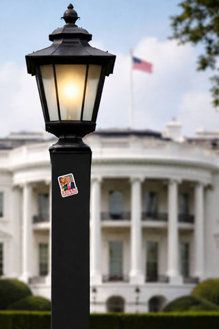 Anti Trump Epstein Files sticker on lamp post with White House background political protest decal outdoor display