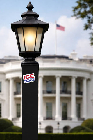 Lamp post with ICE sticker in front of a blurred White House