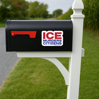Black mailbox with 'ICE Murders Citizens' sticker on a grassy area.