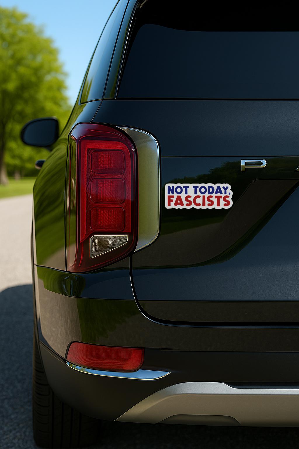 Not Today Fascists Magnet or Vinyl Decal | Anti-Fascist Sticker | Political Protest Decal | Car Laptop Magnet | Resist Authoritarianism