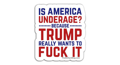 Is America Underage Anti Trump Sticker Pack, Magnet or Vinyl Decal | Funny Political Gifts | Epstein Files