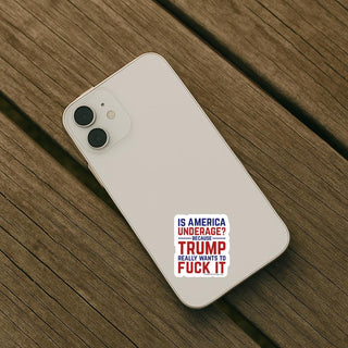 Phone case with a political message on a wooden surface
