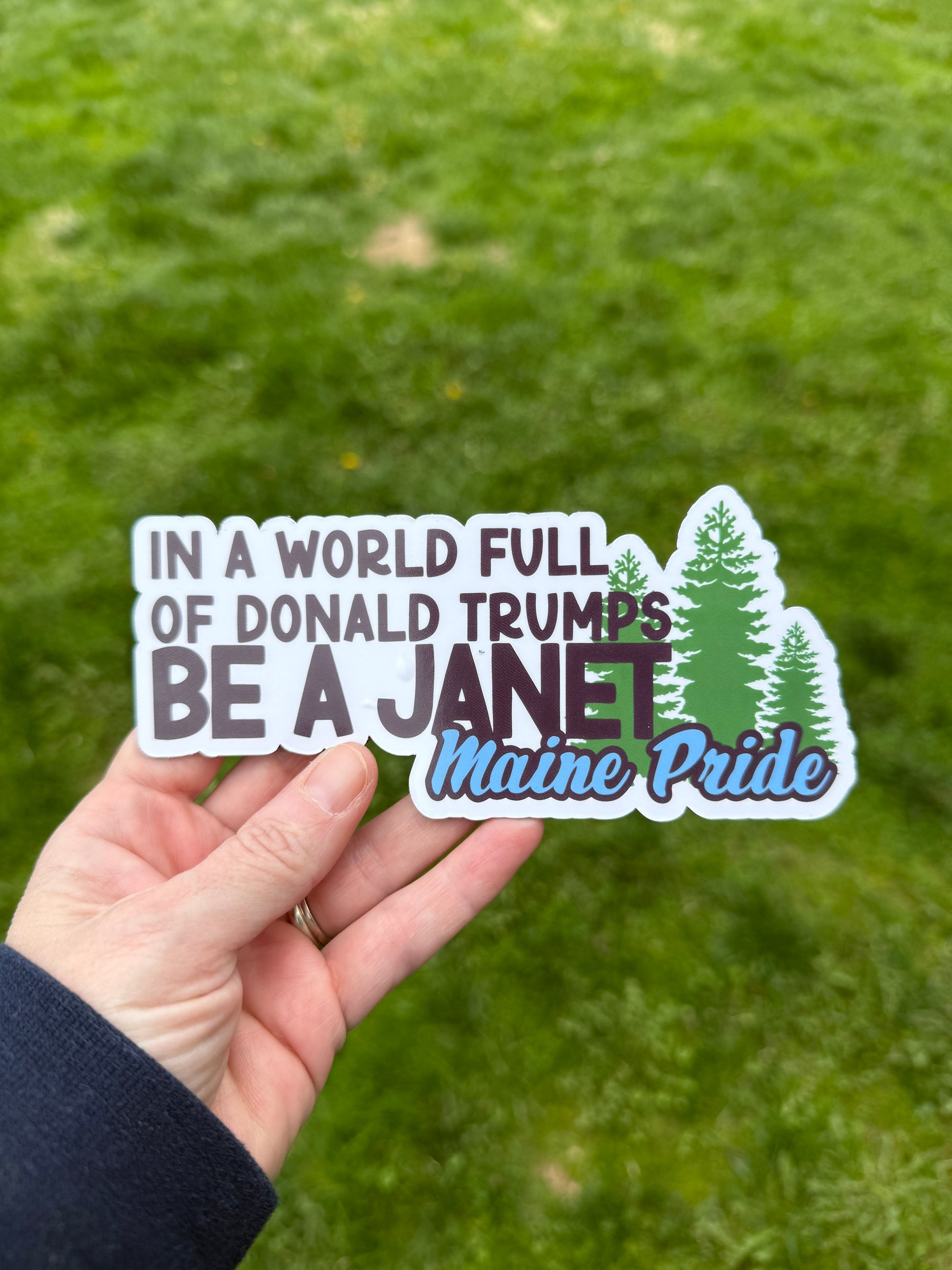 In a world of Donald Trumps, be a Janet. Maine pride magnet held in hand showing support for strong, principled leadership.