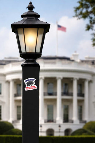 A black outdoor lamp post with a lit lantern-style shade stands in front of a blurred White House background. A sticker on the post reads 'JIMOTHY MORE SPINE THAN THE GOP'