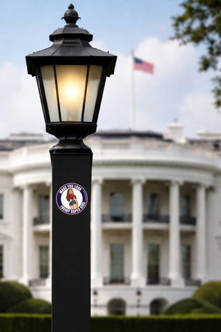 A black vintage-style outdoor lamp post with a glowing light inside, featuring a circular sticker that reads 'made you look trump raped kids' with a cartoon figure. The White House is blurred in the background under a blue sky with clouds.