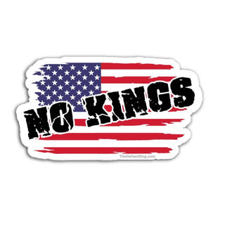 American flag with 'NO KINGS' text on a white background