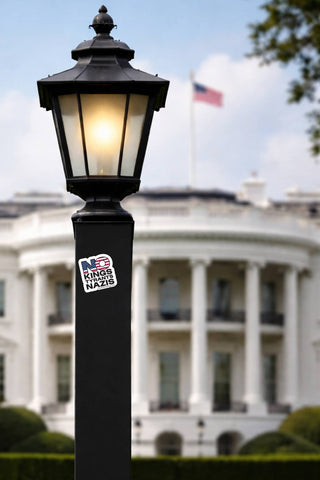 Lamp post with ICE sticker in front of a blurred White House