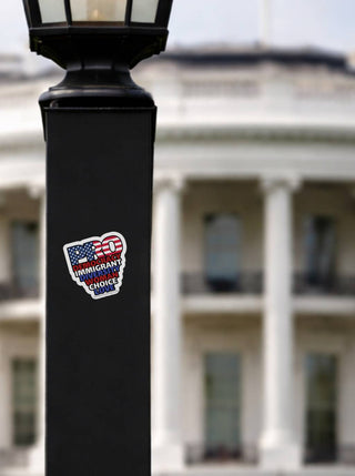 A symbolic shot of the sticker placed on a black metal lamp post in Washington, D.C. The White House is visible in the background, softened by a shallow depth-of-field blur.