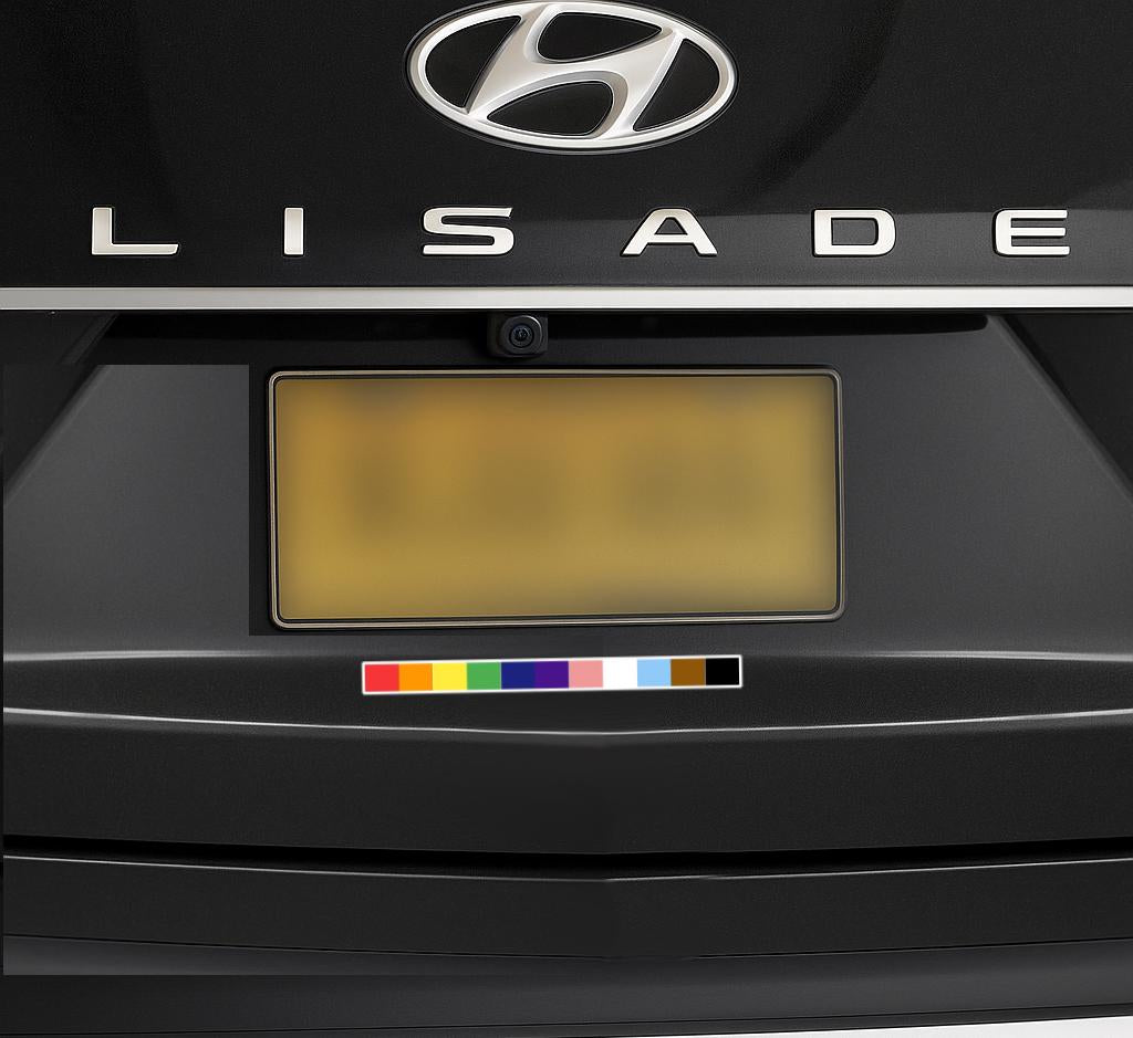 a magnet featuring the colors of the progress gay pride flag under a license plate