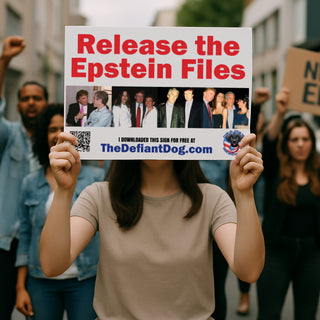 Person holding a sign with 'Release the Epstein Files' at a protest.