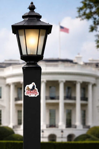 A black outdoor street lamp post with a lit lantern-style shade stands in front of a blurred White House background. A sticker on the post reads featuring a donkey with Netanyahu riding it, with the bold red and white text 'THE ASS & HIS MASTER' and a small 'TheDefiantDog.com' line at the bottom