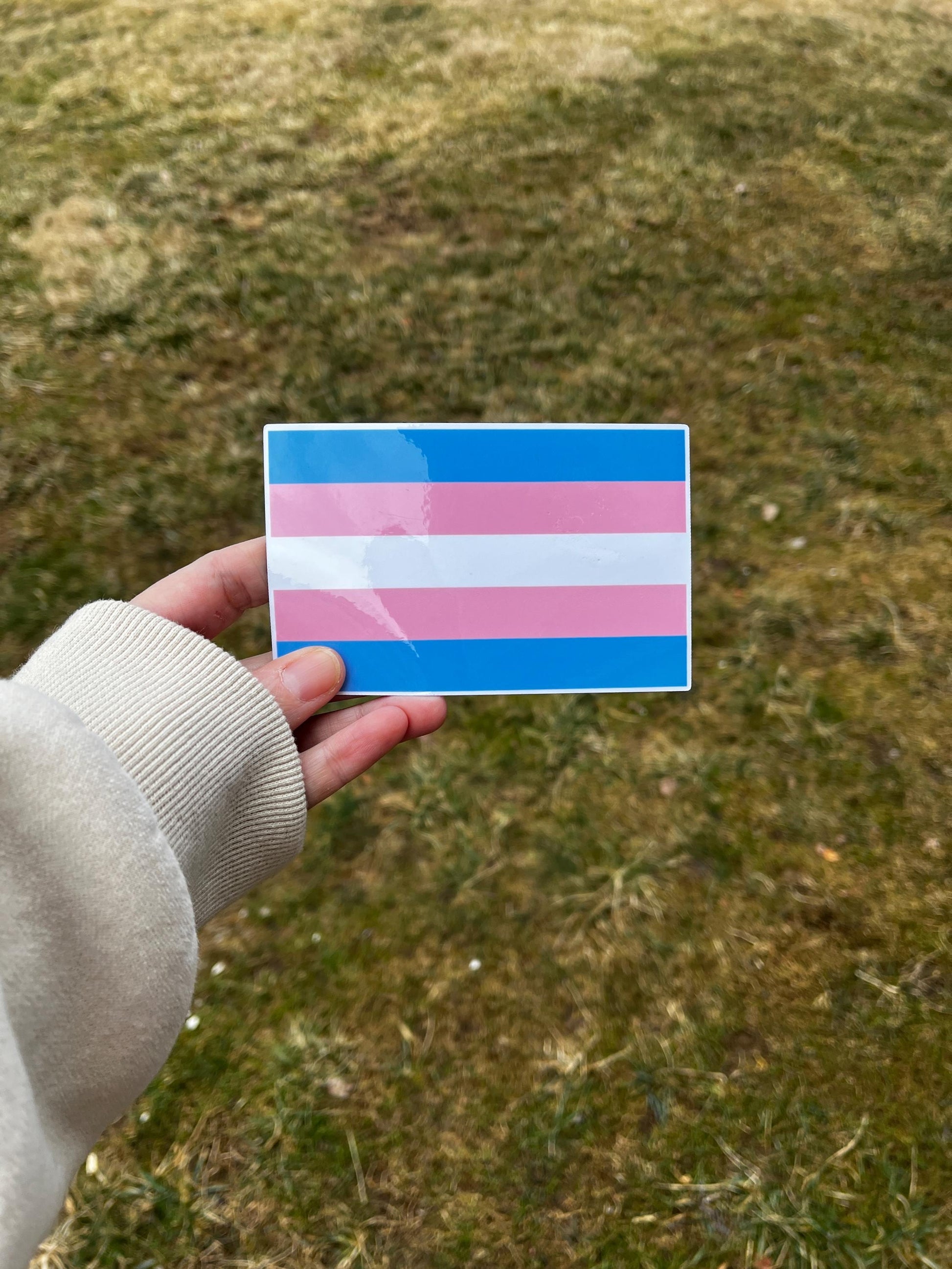 'Trans Pride Ally' magnet or vinyl decal displayed held in hand. A bold, high-quality political sticker perfect for cars, laptops, fridges, or toolboxes. Great for activists, protestors, or anyone fed up with fascism.
