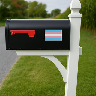 Black mailbox with a transgender pride flag on a white post in a grassy area.
