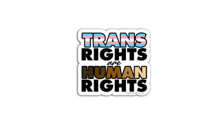 Trans Rights Are Human Rights Anti Trump sticker with transgender pride flag colors and bold typography on white background, progressive LGBTQ equality vinyl decal from The Defiant Dog activist sticker shop