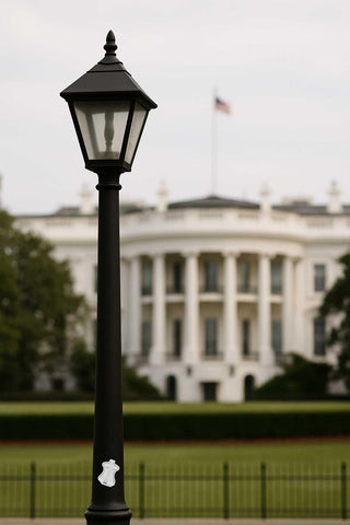 Black lamp post with the White House in the background