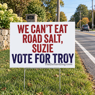Vote for Troy Jackson Sticker | Anti Susan Collins Maine Sticker | Maine Senate 2026 Political Sticker | Democrat Campaign Vinyl Decal